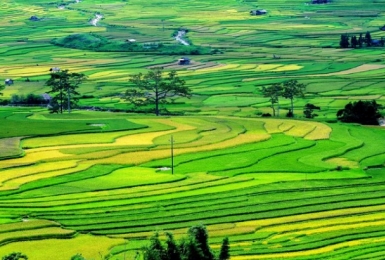 Bảng giá đất 2020 của các tỉnh, thành phố trực thuộc Trung ương.