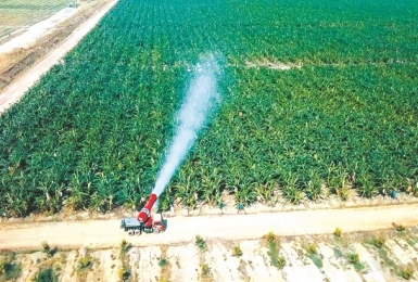 M&A lấy đà để bật lên.