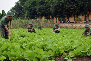 03 trường hợp sử dụng đất quốc phòng, an ninh kết hợp sản xuất không phải nộp tiền sử dụng đất