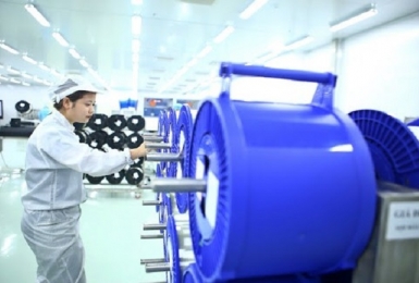 Phân loại doanh nghiệp do nhà nước nắm giữ 100% vốn điều lệ hoạt động.