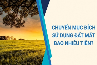 Phí chuyển mục đích sử dụng đất.