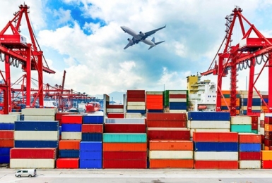 Miễn 2 loại thuế với hàng nhập khẩu để tài trợ chống dịch.