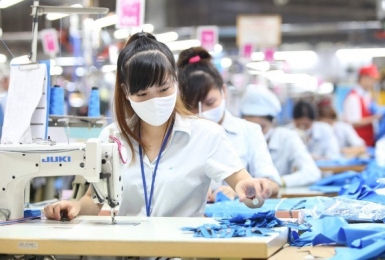 Hỗ trợ người lao động và người sử dụng lao động từ Quỹ bảo hiểm thất nghiệp.