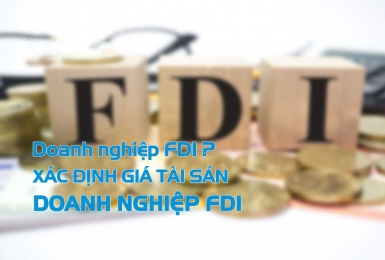 Doanh nghiệp FDI là gì? Xác định giá trị tài sản doanh nghiệp FDI.