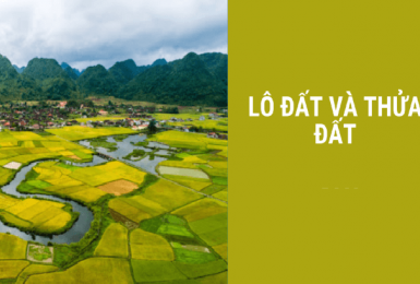 Lô đất khác gì với thửa đất? Được cấp Sổ đỏ cho cả lô đất không?