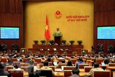 Miễn thuế, giảm thuế cho người dân, doanh nghiệp chịu tác động của dịch Covid-19.