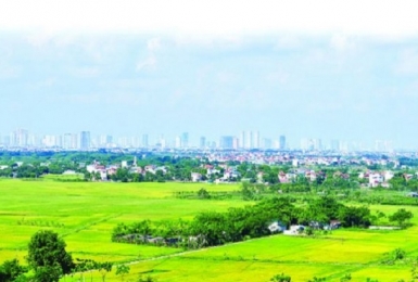 Chuyển mục đích sử dụng đất tại 2 địa phương