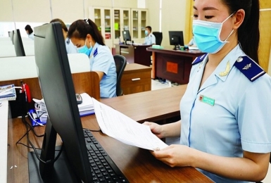 Tiếp tục triển khai phần mềm khai hải quan miễn phí