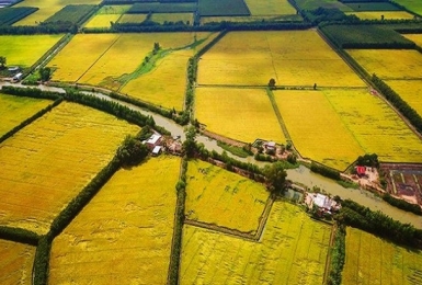 Chuyển mục đích sử dụng đất tại 4 tỉnh