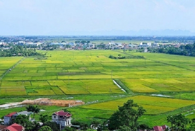 Thủ tướng đồng ý chuyển mục đích sử dụng 39,51 ha đất tại Hà Nội