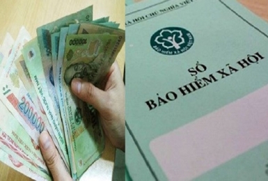 Việc gộp sổ bảo hiểm xã hội tại TP. Hồ Chí Minh được điều chỉnh như thế nào?