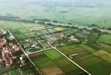 Đề xuất sửa đổi, bổ sung 6 Nghị định quy định chi tiết thi hành Luật Đất đai