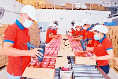 Có thể nộp trực tuyến hồ sơ hỗ trợ tiền thuê nhà