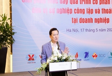 Nên đưa thuê đất trả tiền một lần ra khỏi xác định giá trị doanh nghiệp