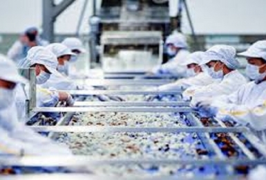 Áp dụng quy tắc cụ thể mặt hàng theo Hiệp định VKFTA từ 1/8/2022