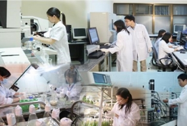 Hướng dẫn sử dụng Quỹ phát triển khoa học và công nghệ của doanh nghiệp