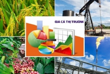 Sửa Luật Giá, khắc phục hạn chế sau hơn 9 năm thi hành