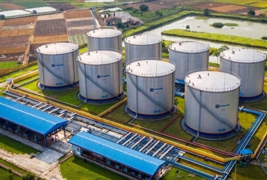 Tạm dừng thực hiện thủ tục hải quan đối với kho xăng dầu chưa kết nối với cơ quan hải quan