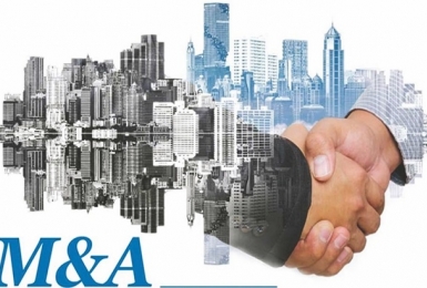 Thâu tóm doanh nghiệp ngoại để tăng thị phần