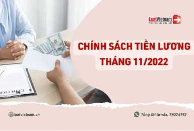 Chính sách tiền lương tháng 11/2022: Công chức nào được tăng?