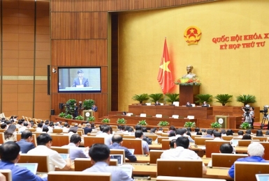 Cân nhắc kỹ việc cho thuê, chuyển nhượng quyền thuê đất trả tiền hàng năm