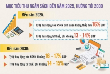 Hệ thống thuế hướng đến minh bạch, chuyên sâu, dựa trên nền tảng thuế điện tử