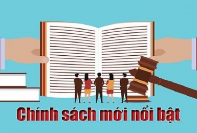 Những chính sách mới và nổi bật có hiệu lực trong tháng 12