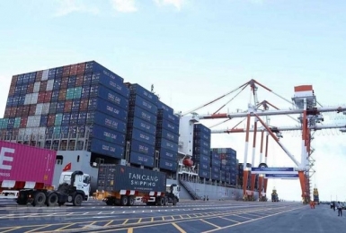 Ngưng hiệu lực Thông tư 31/2022/TT-BTC đến hết ngày 29/12/2022