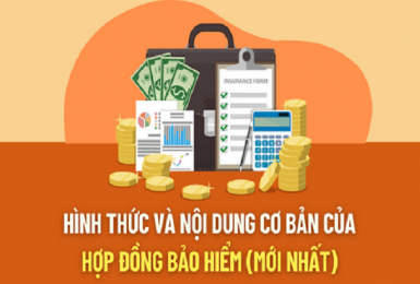 Hình thức và nội dung cơ bản của hợp đồng bảo hiểm