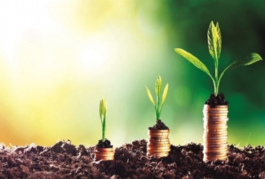 Hướng dẫn quản lý rủi ro về môi trường trong cấp tín dụng xanh