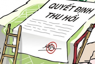 Bổ sung một số trường hợp thu hồi đất do vi phạm pháp luật về đất đai