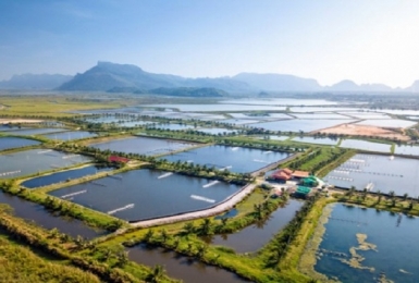 Giảm 30% tiền thuê đất, thuê mặt nước cho đối tượng bị ảnh hưởng bởi dịch COVID-19