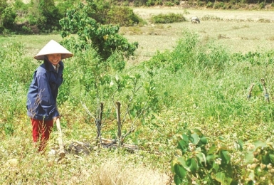 Sử dụng đất không liên tục là gì? Sử dụng đất không liên tục có bị phạt không?