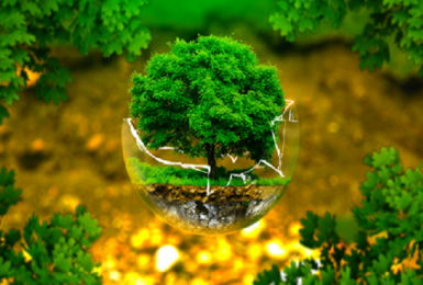 Mức thu phí thẩm định phương án cải tạo, phục hồi môi trường