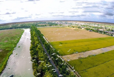 Đất nông nghiệp khác có lên thổ cư, xây nhà không?