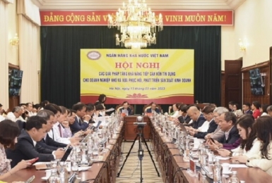 Ngân hàng đã rất linh hoạt trong cho vay với DNNVV