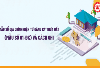 Mẫu sổ địa chính điện tử đăng ký thửa đất (Mẫu số 01-ĐK) và cách ghi