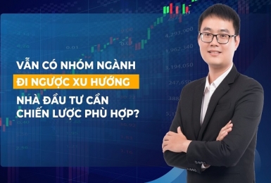 Vẫn có nhóm ngành đi ngược xu hướng thị trường chứng khoán, nhà đầu tư nên hành động gì?